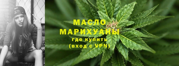 прущие грибы Каменногорск