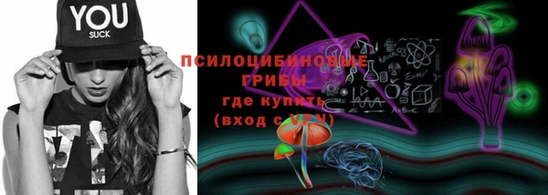 твердый Зеленокумск