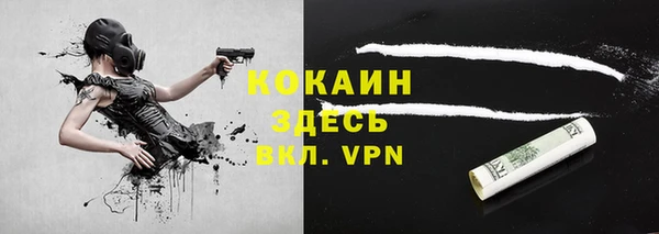 прущие грибы Каменногорск