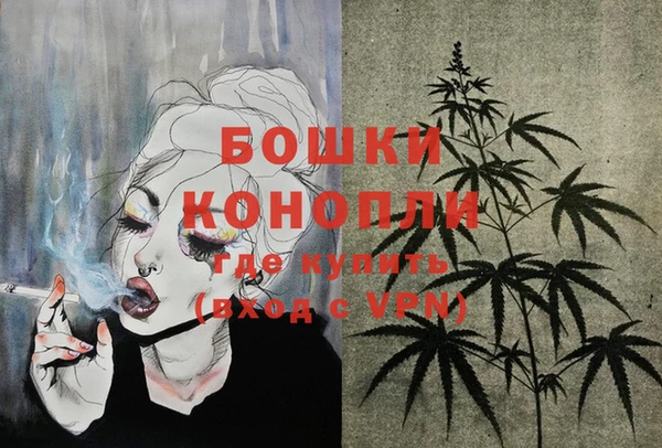 прущие грибы Каменногорск