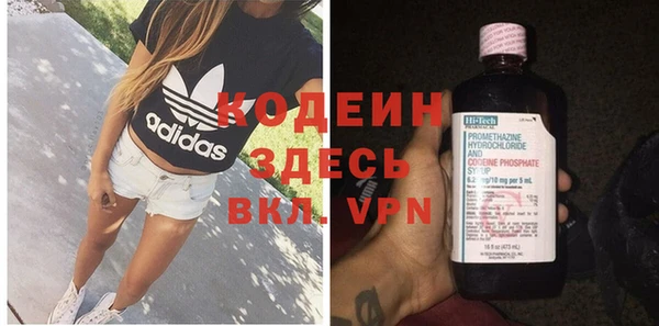 прущие грибы Каменногорск