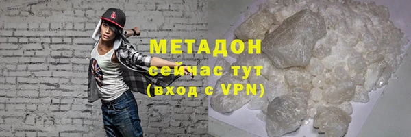 прущие грибы Каменногорск