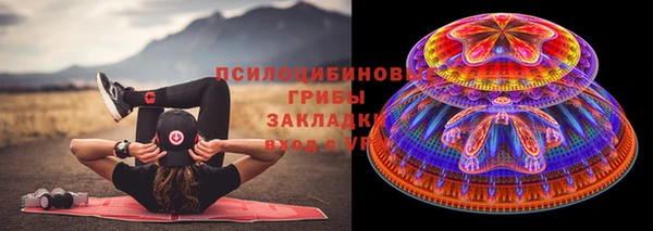 прущие грибы Каменногорск