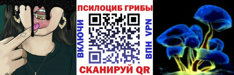 Купить закладки  Нерчинск  Галлюциногенные грибы Psilocybe 